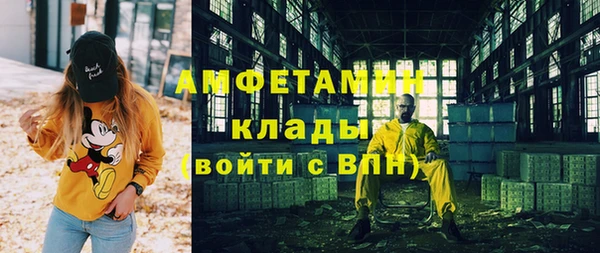 индика Елабуга