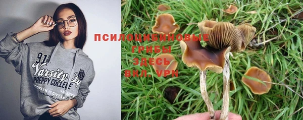 гидра Белоозёрский