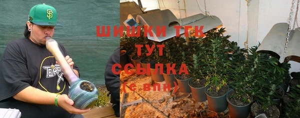 гидра Белоозёрский