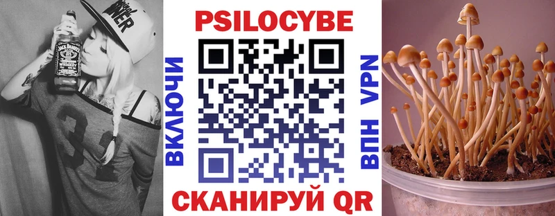 Галлюциногенные грибы прущие грибы  наркошоп  Покровск 